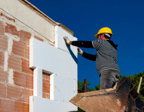 Best Insulation Materials and Products in Davidson, NC